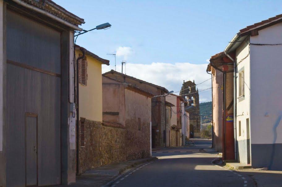 Fotografía de la galería de imágenes con id: 869